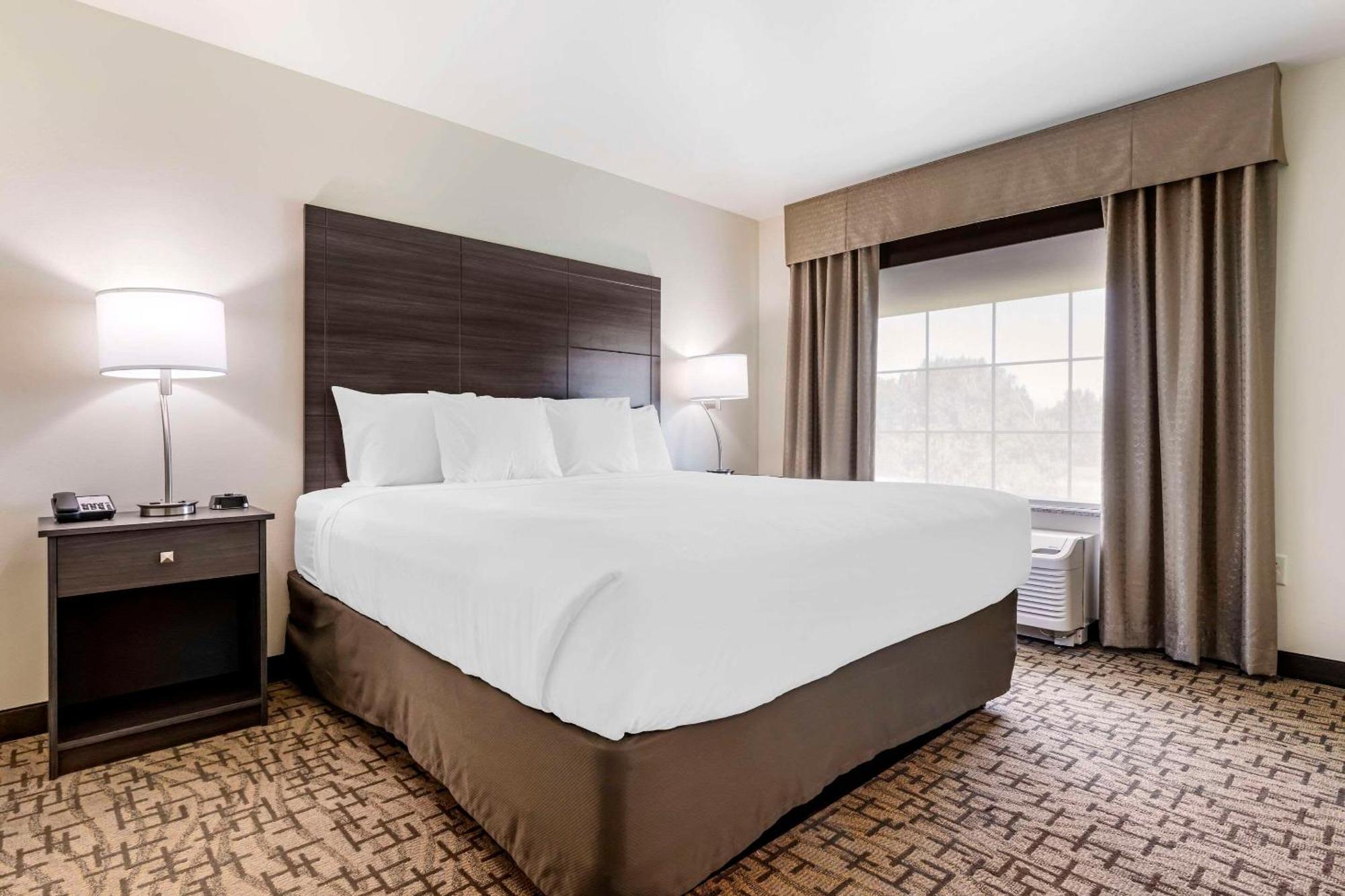 Comfort Inn & Suites Medina Экстерьер фото